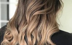 Brown Blonde Balayage Hairstyles