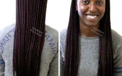 Two Extra Long Braids