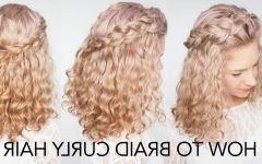 Curly Braid Hairstyles