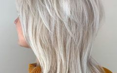 Silver Shag Haircuts with Feathered Layers