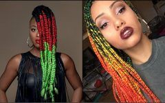 Multicolored Jumbo Braid Hairstyles