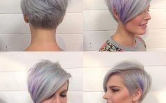 Lavender Pixie-bob Hairstyles