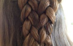 Double Rose Braids Hairstyles