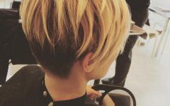 Long Honey Blonde and Black Pixie Hairstyles