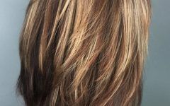 Fringy Layers Hairstyles with Dimensional Highlights
