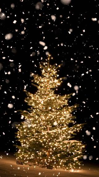 Featured image of post Gold Christmas Background Iphone Download beautiful curated free backgrounds on unsplash