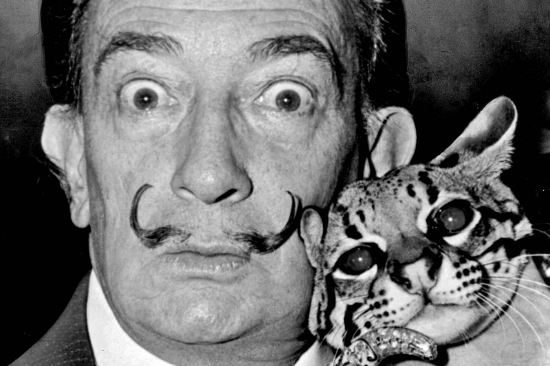 Сальвадор Дали (Salvador Dalí)