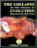 تنزيل وتحميل كتاِب The Collapse Of The Theory Of Evolution pdf برابط مباشر مجاناً 