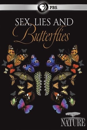 Watch Free Sex, Lies and Butterflies (2018)