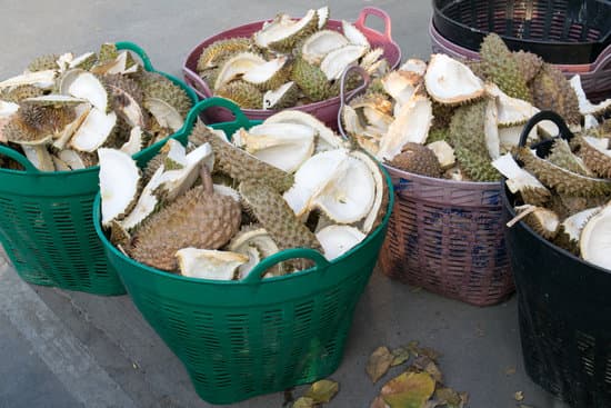 canva baskets of durian skins MAEQ7P1FY6E