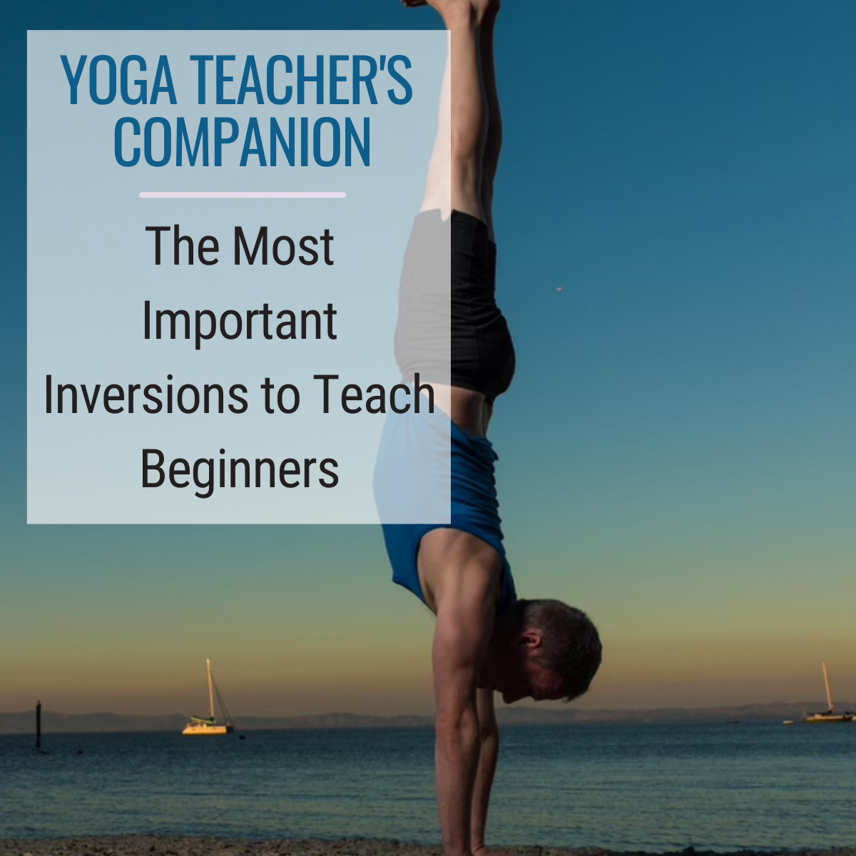 Yoga Teacher's Companion title card with Jason Crandell in a handstand in the background against the ocean, the title saying "The Most Important Inversions to Teach Beginners"