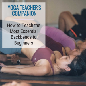 Title card: Yoga Teacher's Companion - How the Teach the Most Essential Backbends to Beginners, text over photo of a yoga class