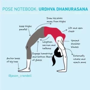 Urdhva Dhanurasana (Backbend) illustration with directions