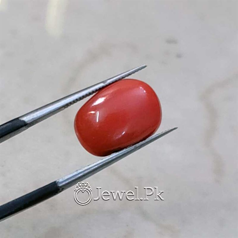 Natural Red Coral - Italian Coral - Marjaan Stone - Marjan Stone
