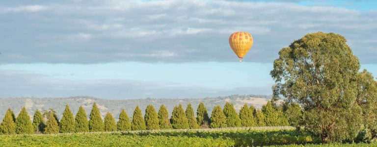 Hot air balloon flying over vineyards in the Yarra Valley