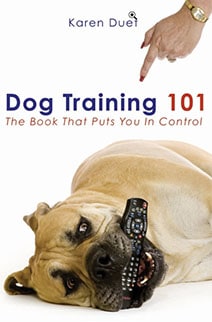 Dog Training 101
