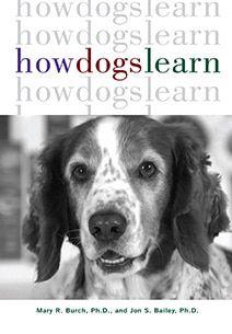 How Dogs Learn