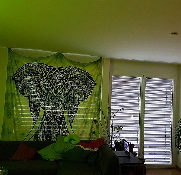 Wandtuch mit Elefant in batik grün vor Fenster im Wohnzimmer