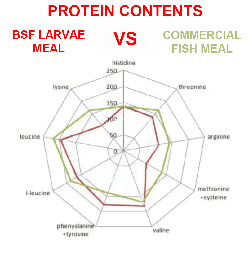 BSF Larvae Meal compared to Fish Meal: Amino acids Content in Protein.