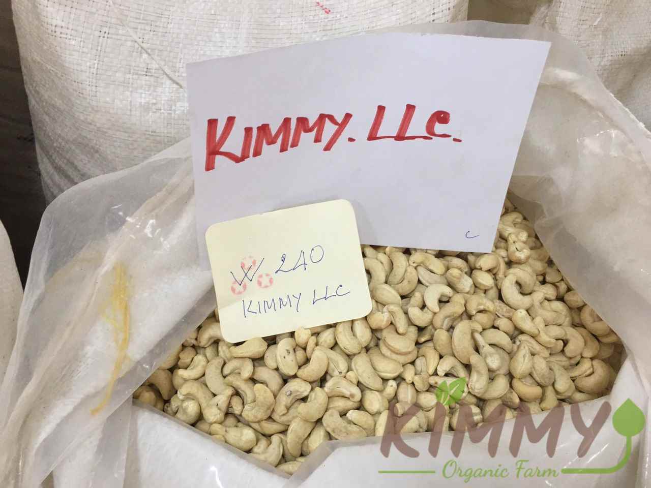 W240 is the best Vietnam Cashew Nut Kernels Origin