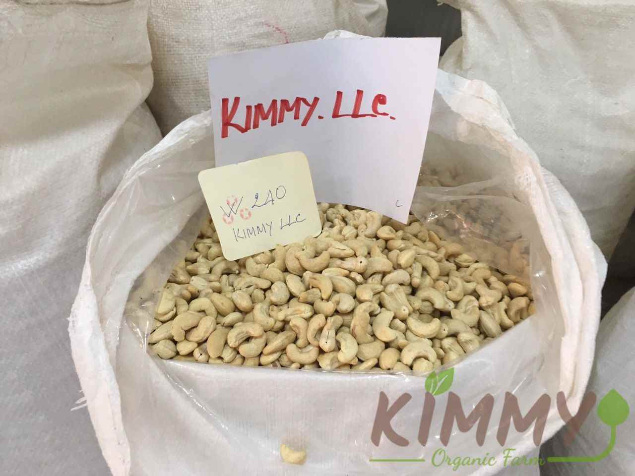 Vietnam W240 Cashew Nut White Whole Cashews High Quality Ready For Export Raw Image Of W240 From Our Cashew Factory!