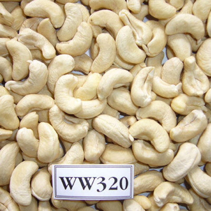 Vietnam W320 Cashew Nut White Whole Cashews High-Quality Ready For Export