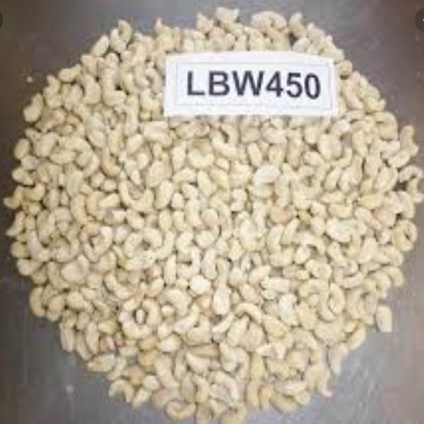 LBW450 Light Blemished Wholes Cashew Nuts Kernel exporter in Vietnam