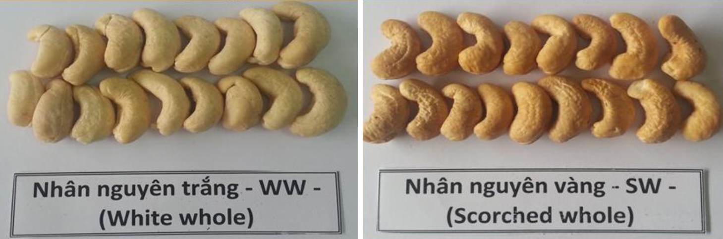 Real Image Of White Whole Cashew Nuts Vs Scorched Whole Cashew!