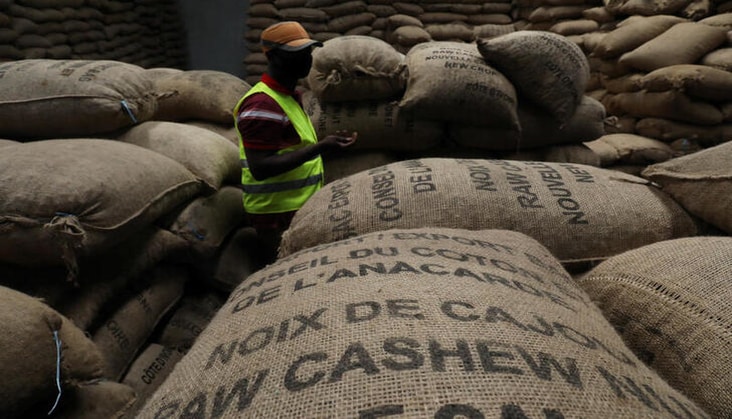Tại Bờ Biển Ngà, nhà xuất khẩu hạt điều thô lớn nhất thế giới, chính phủ nước này đã bắt đầu đánh thuế xuất khẩu hạt điều thô là FCFA 30/ kg hạt điều thô