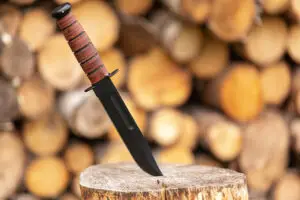 fixed blade knife in wood