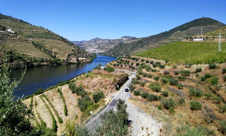 valle do Douro