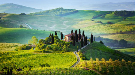 Colinas con viñedos de Grosseto en la Toscana