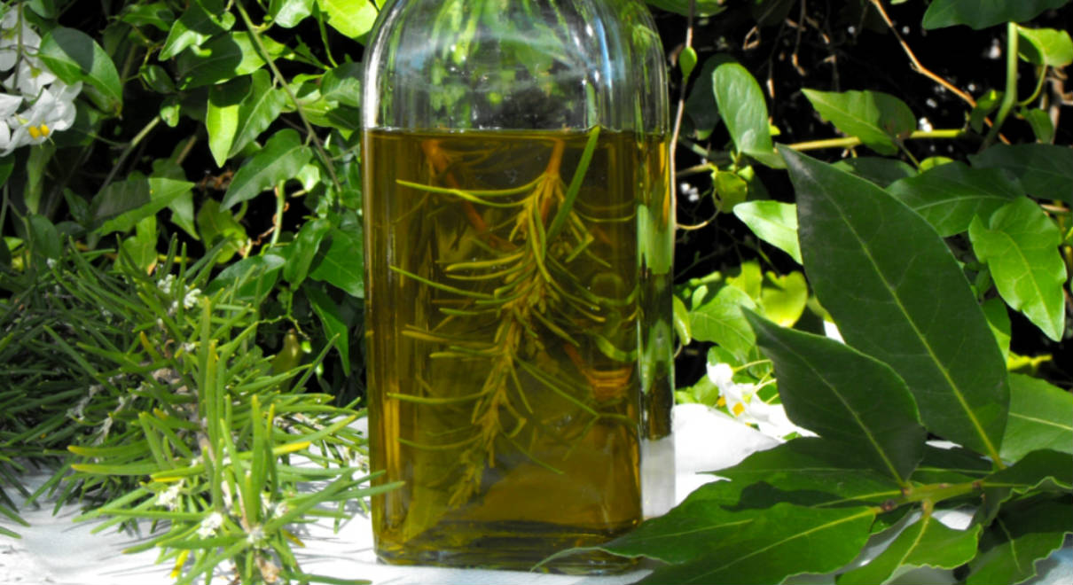 Macerando aceites de oliva - A tavola con il Conte - Portada
