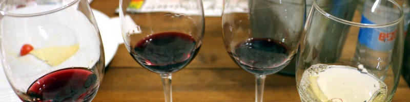 Conociendo los vinos de tudanca