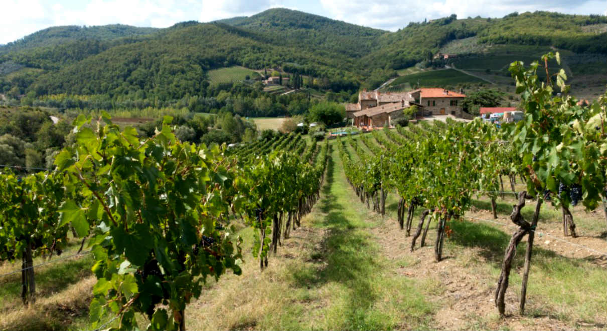 Top 10 vinos italianos