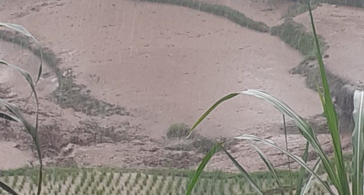 Banjir bandang (Galodo) landa Situjuah Gadang, Kabupaten Limapuluh Kota. (IST)