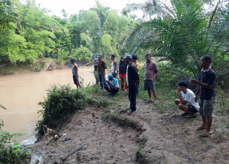 Berita Agam - berita Sumbar terbaru dan terkini hari ini: Seorang bocah diterkam buaya saat mandi di Batang Masang, Kabupaten Agam.