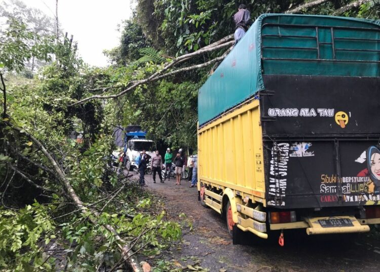Berita Agam - berita Sumbar terbaru dan terkini hari ini: Akibat pohon tumbang, Jalan Bukittinggi-Medan Agam, putus total dua jam.