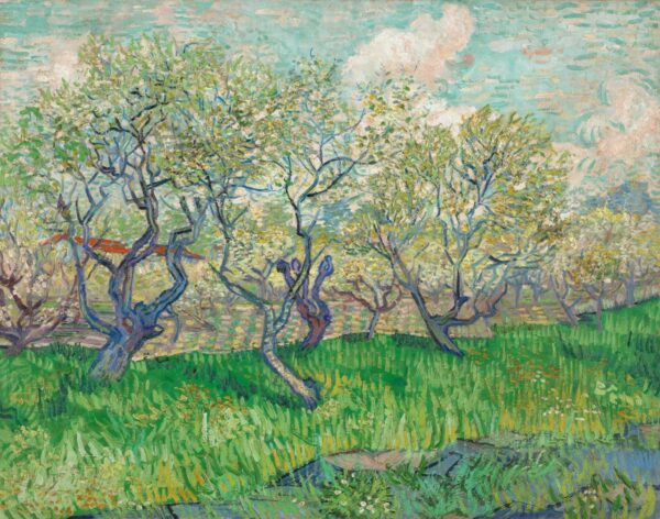 Photo of Orchard With Blossoming Plum Trees By Vincent van Gogh