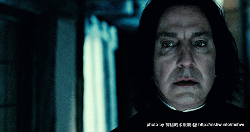 終於完結的害你跌倒系列電影... 哈利波特 Harry Potter 7 死神的聖物 Deathly Hallows Part2 哈利波特系列 電影  
