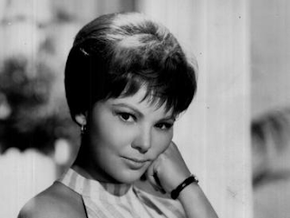 Barbara Harris Net Worth, Income, Salary, Earnings, Biography, How much money make?