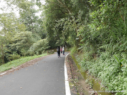 【景點】【食記】苗栗舊山線主題旅程一日遊-茅鄉炭坊.桐花走廊.金榜麵館.鯉魚潭水庫.火炎山森林生態教育館@川流不息, 三義古道自然行! 三義鄉 中式 區域 午餐 博物館 台式 地區導覽指南 小吃 旅行 晚餐 景點 苗栗縣 飲食/食記/吃吃喝喝 麵食類 