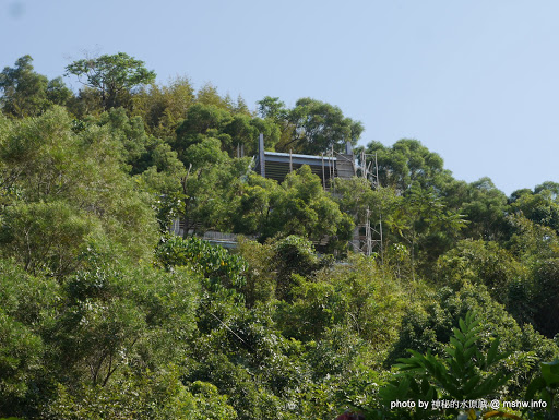 【景點】南投Rainbow House Bed and Breakfast 彩虹糖景觀民宿@竹山紫南宮 : 夜景絕佳, 舒適溫馨, 有歸屬感的傳統民宿 住宿 區域 南投縣 夜景 旅行 旅館 景點 竹山鎮 