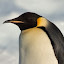 Measure Theory Penguin's user avatar