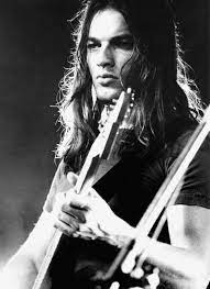 David Gilmour Net Worth, Income, Salary, Earnings, Biography, How much money make?