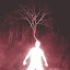 DarKnightz's user avatar