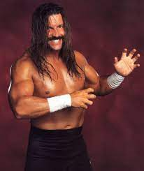 Al Snow Net Worth, Income, Salary, Earnings, Biography, How much money make?