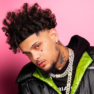 SmokePurpp (Rapper) Wiki, Biography, Age, Height, Weight, Net Worth, Girlfriend, Family, Career, Facts