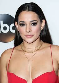 Natalie Martinez Bio, Age, Life, Ethnicity, Height, Weight, Boyfriend, Husband, Chase, The I-Land, Wiki,biography