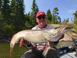 Joe Bucher Net Worth, Income, Salary, Earnings, Biography, How much money make? Joe Bucher Net Worth, Income, Salary, Earnings, Biography, How much money make?